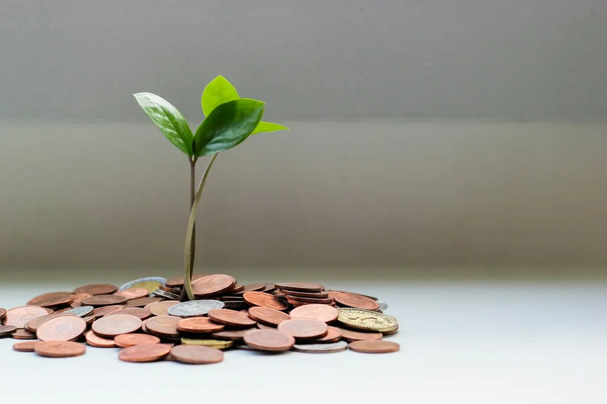 Pequena muda de planta verde crescendo sobre uma pilha de moedas, representando um investimento que cresce com o tempo.